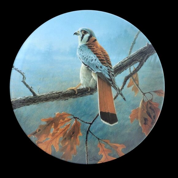 edwin m Knowles Other - Hawk Plate Collectible 1989 Knowles American Kestrel By Daniel Smith 84-K41-74.6